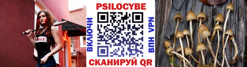 где купить   Феодосия  Галлюциногенные грибы Psilocybine cubensis 